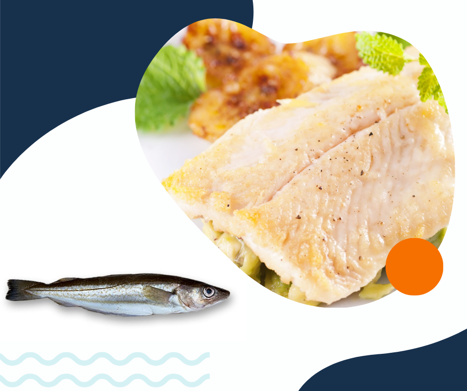 Merlangius merlangus